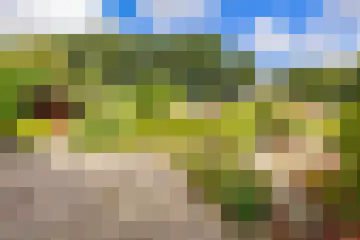 Mallebrugge 2 Katwijk thumbnail 35