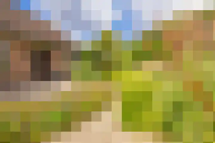 Mallebrugge 2 Katwijk thumbnail 36