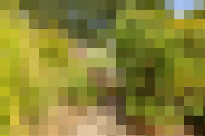Mallebrugge 2 Katwijk thumbnail 37