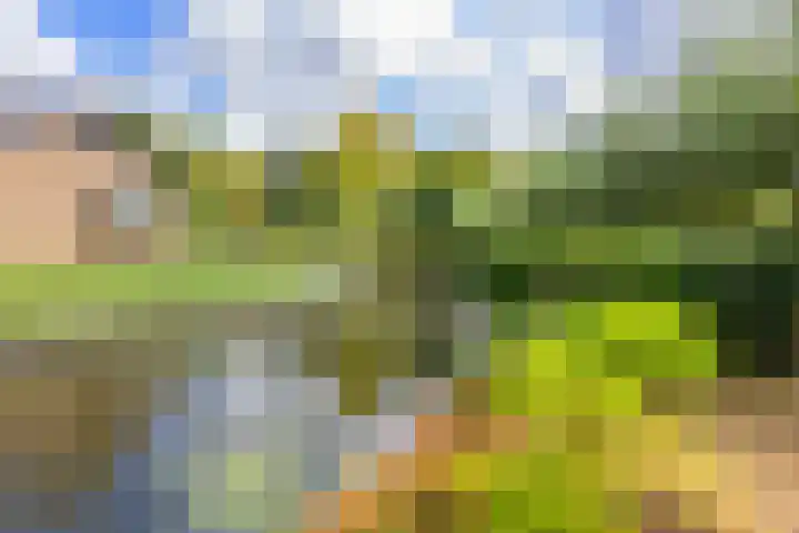 Mallebrugge 2 Katwijk thumbnail 38