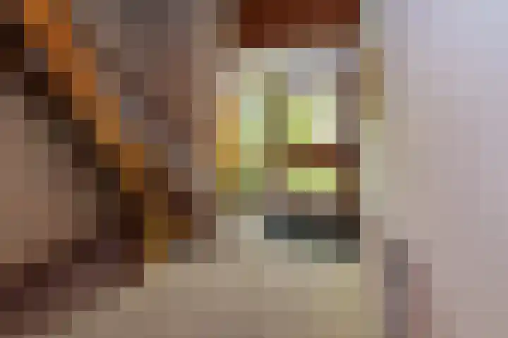 Mallebrugge 2 Katwijk thumbnail 5