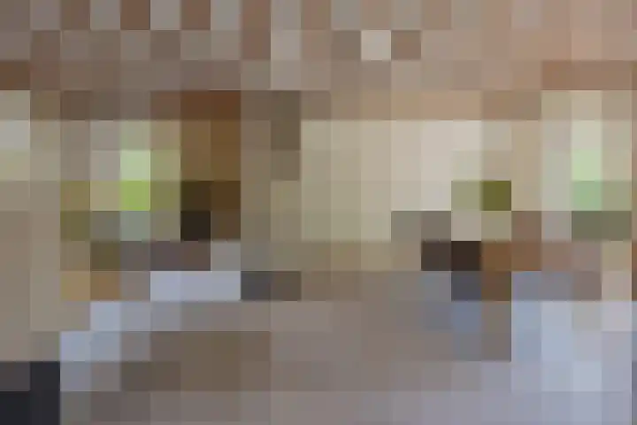 Mallebrugge 2 Katwijk thumbnail 6
