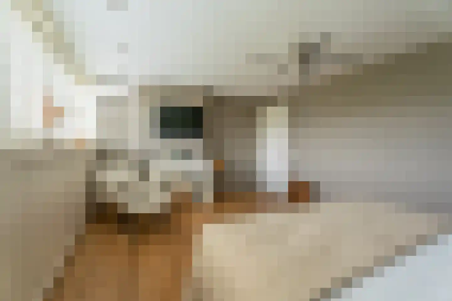 Mallebrugge 25 Katwijk thumbnail 22