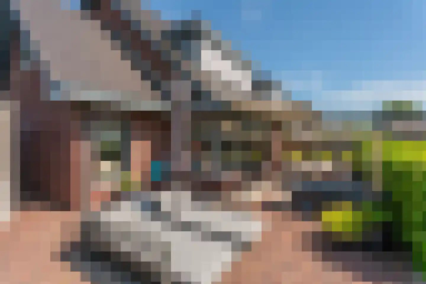 Mallebrugge 25 Katwijk thumbnail 33