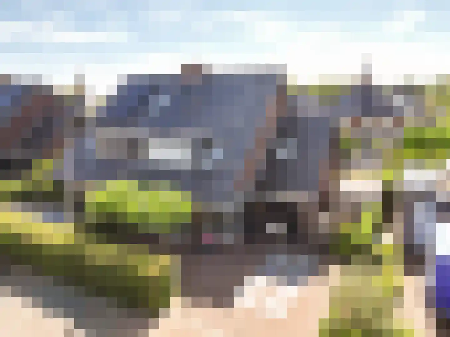 Mallebrugge 25 Katwijk thumbnail 38
