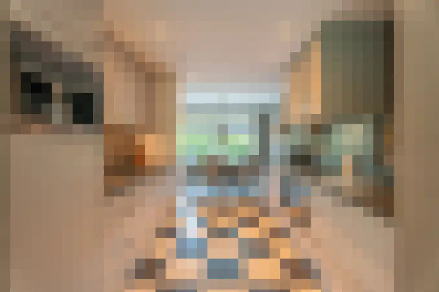 Mallebrugge 25 Katwijk thumbnail 7