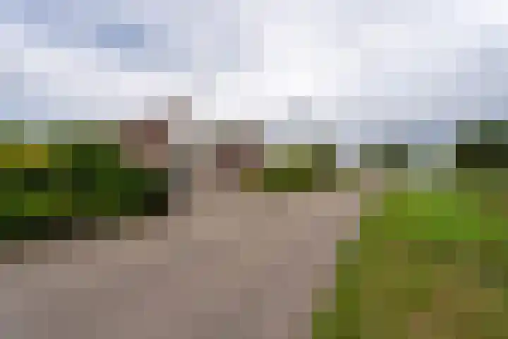 Malledijk 12 Spijkenisse thumbnail 40