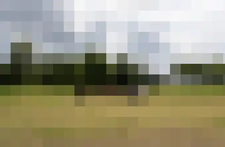 Malledijk 12 Spijkenisse thumbnail 42