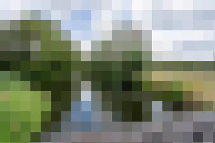 Malledijk 12 Spijkenisse thumbnail 44