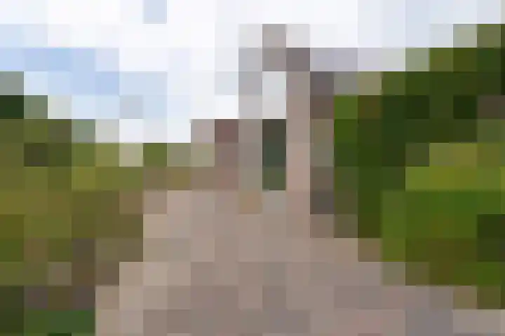 Malledijk 12 Spijkenisse thumbnail 8