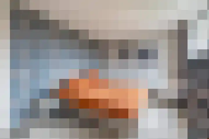 Mallegout 18 b Brielle thumbnail 23