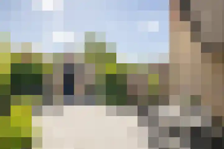Mallegout 18 b Brielle thumbnail 31