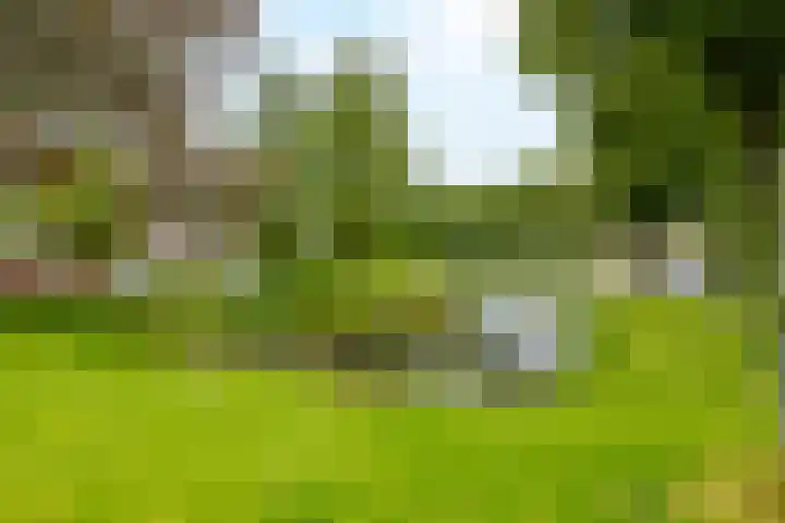 Mallegout 18 b Brielle thumbnail 48