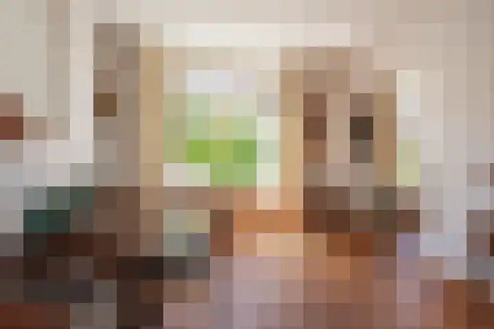 Mallemolen 55 21 Den Haag thumbnail 13