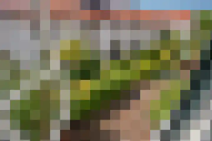 Mallemolen 55 21 Den Haag thumbnail 25