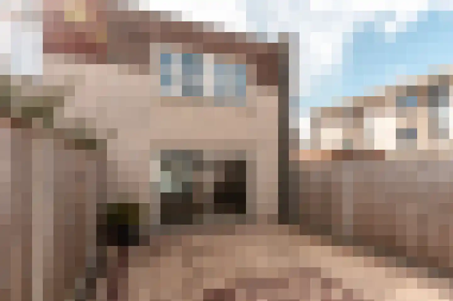 Mallorcastraat 24 Almere thumbnail 31