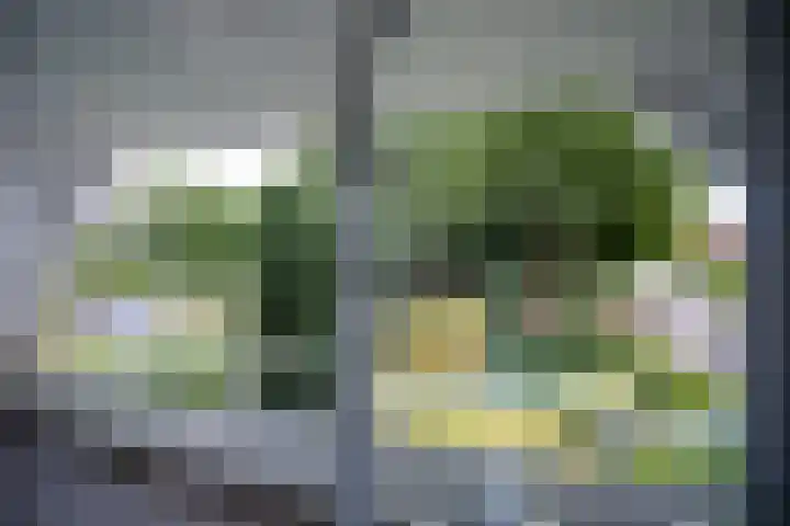 Mallumse Molenweg 11 Eibergen thumbnail 22