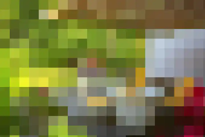 Mallumse Molenweg 11 Eibergen thumbnail 33