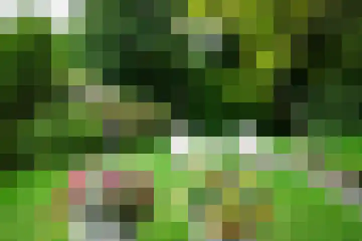 Mallumse Molenweg 11 Eibergen thumbnail 34
