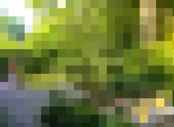 Mallumse Molenweg 11 Eibergen thumbnail 35