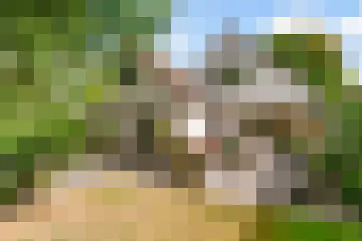 Mallumse Molenweg 11 Eibergen thumbnail 37