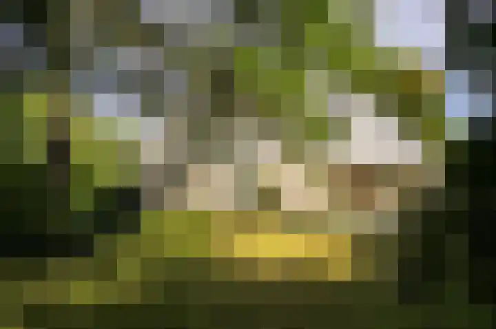 Mallumse Molenweg 11 Eibergen thumbnail 38