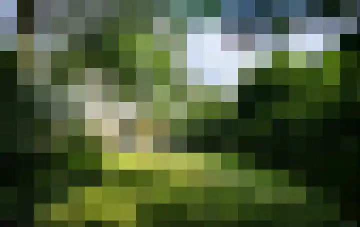 Mallumse Molenweg 11 Eibergen thumbnail 40