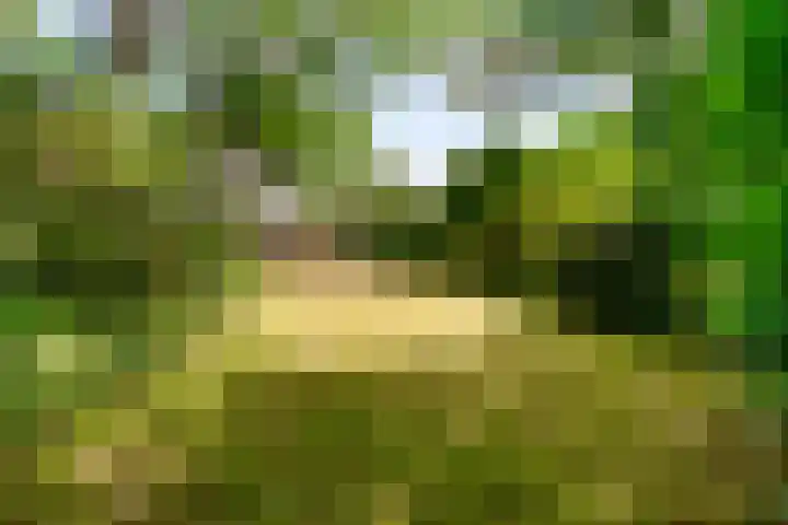 Mallumse Molenweg 11 Eibergen thumbnail 42