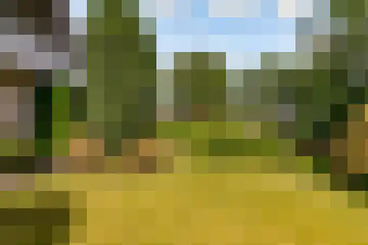 Mallumse Molenweg 11 Eibergen thumbnail 44