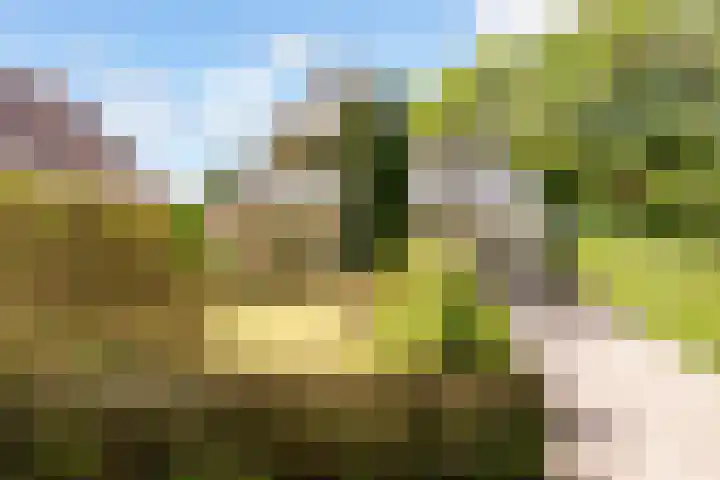 Mallumse Molenweg 11 Eibergen thumbnail 45