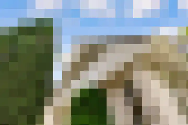 Mallumse Molenweg 11 Eibergen thumbnail 46
