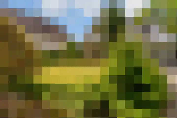 Mallumse Molenweg 11 Eibergen thumbnail 47