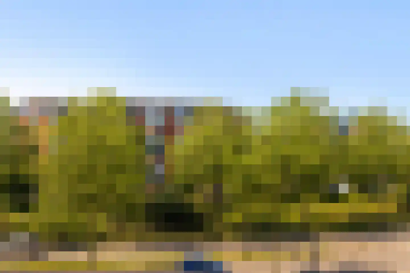 Malmö 10 Schiedam thumbnail 37