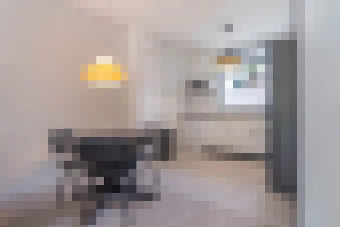 Malmöpad 16 Rotterdam thumbnail 21