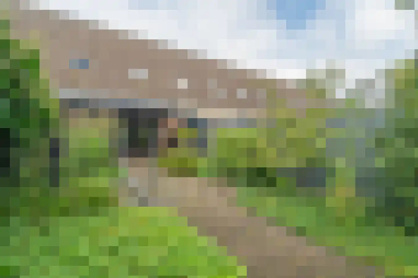 Malmöpad 16 Rotterdam thumbnail 25