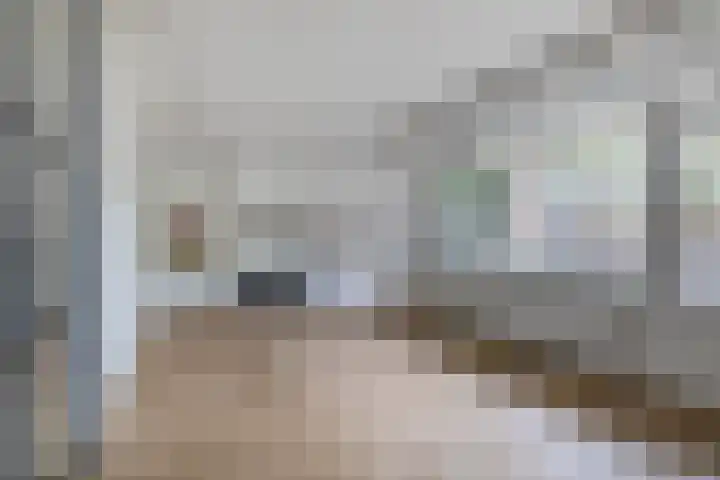 Malmöpad 77 Rotterdam thumbnail 8