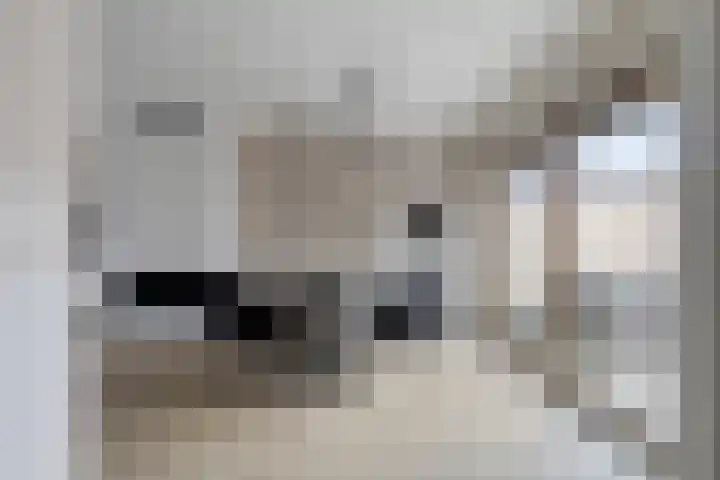 Malotauxstraat 18 Sas van Gent thumbnail 10