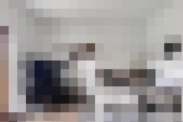 Malotauxstraat 18 Sas van Gent thumbnail 20