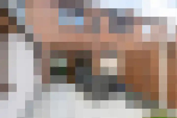 Malotauxstraat 18 Sas van Gent thumbnail 23