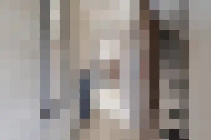 Malotauxstraat 18 Sas van Gent thumbnail 5