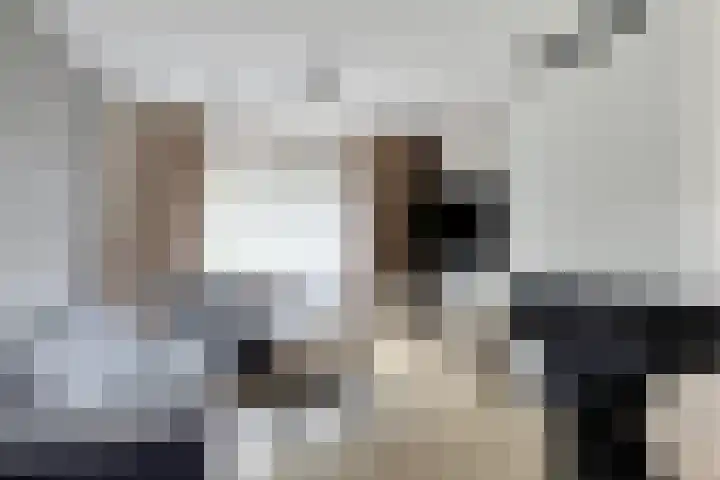 Malotauxstraat 18 Sas van Gent thumbnail 7