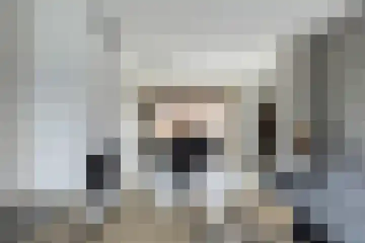 Malotauxstraat 18 Sas van Gent thumbnail 8