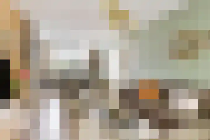 Malpertuisstraat 9 Maastricht thumbnail 8