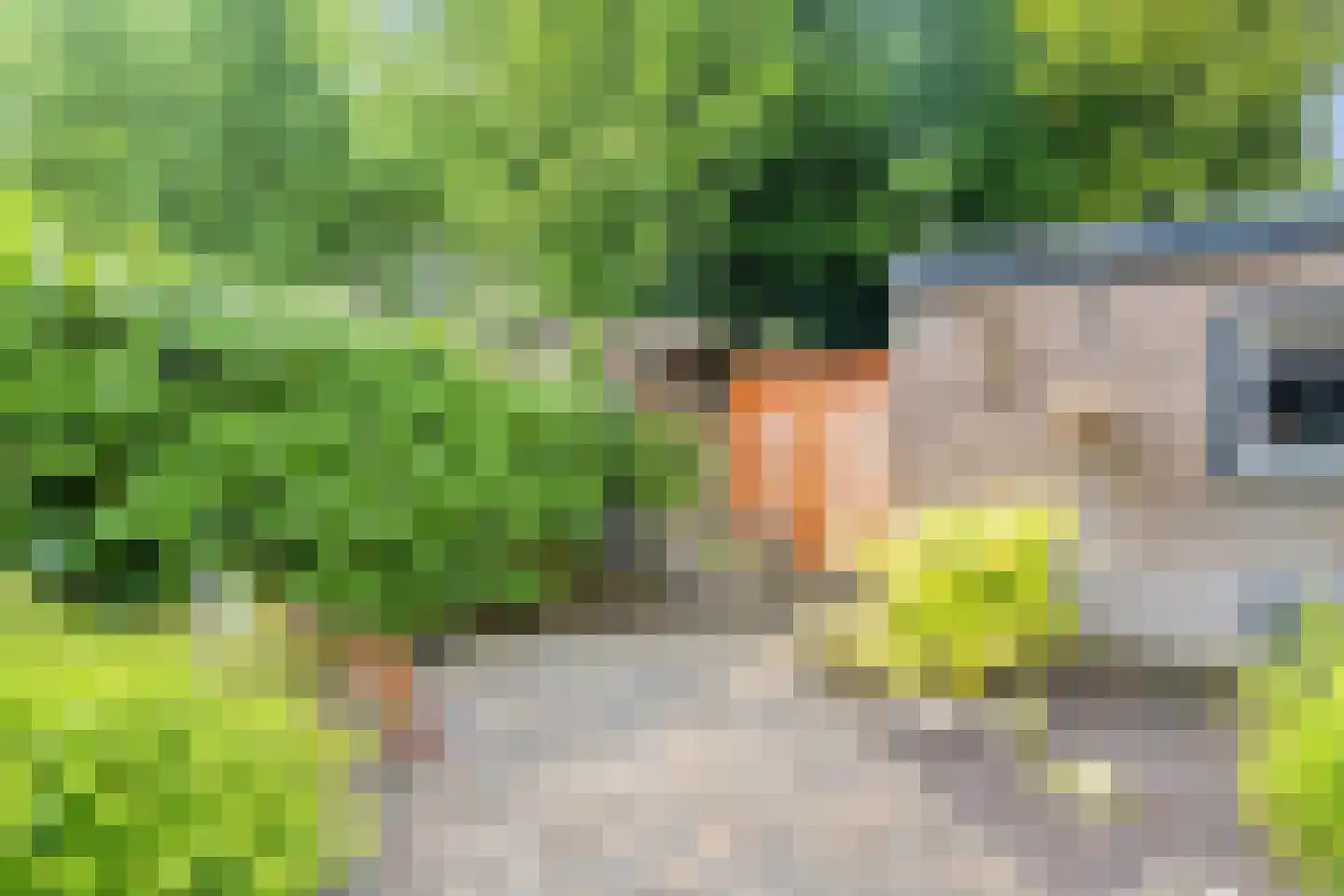 Malrove 20 Apeldoorn thumbnail 24