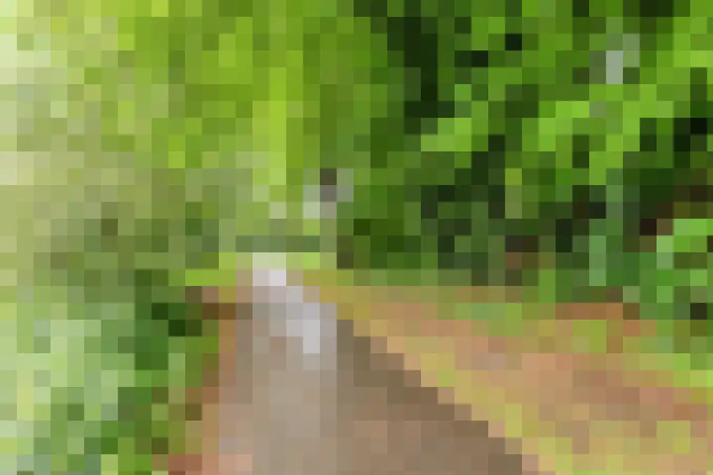 Malrove 20 Apeldoorn thumbnail 34