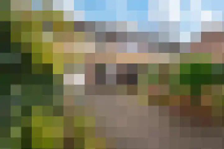 Malrove 38 Apeldoorn thumbnail 17