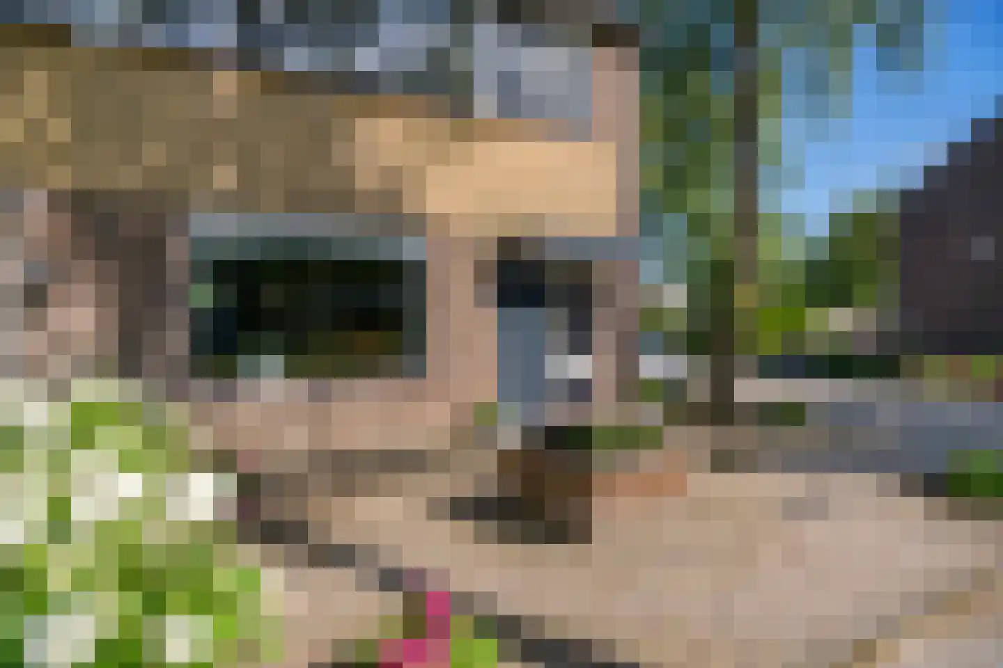 Malrove 47 Apeldoorn thumbnail 25