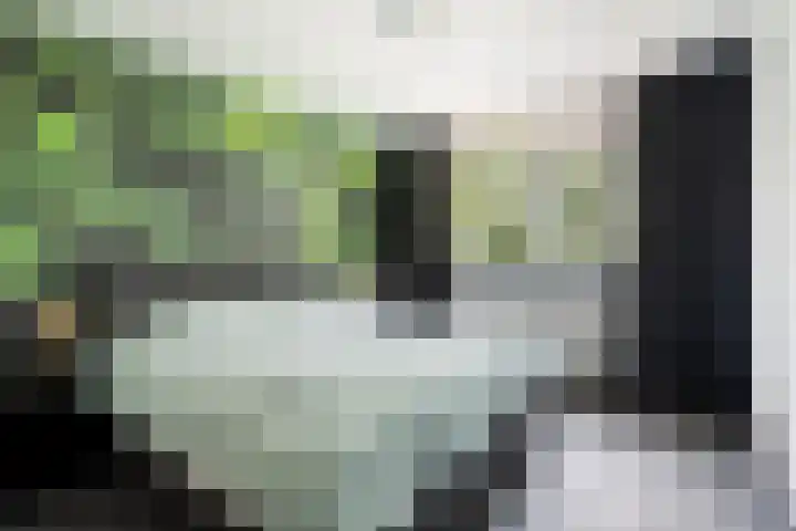 Malrove 62 Apeldoorn thumbnail 14