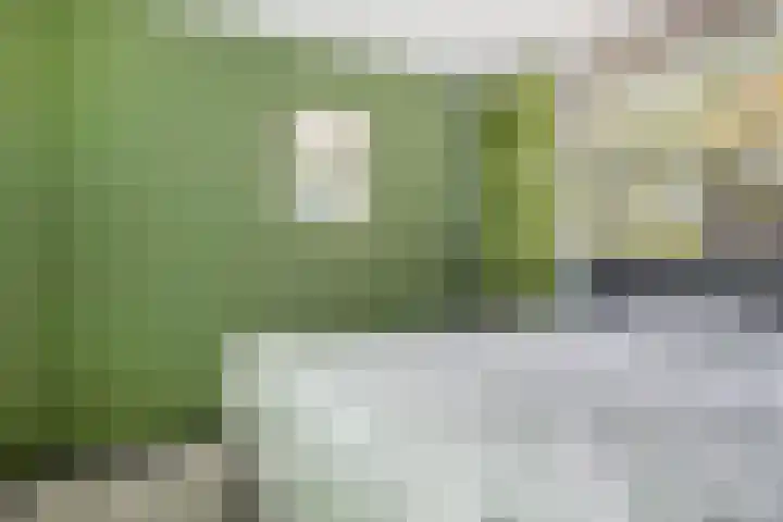 Malrove 62 Apeldoorn thumbnail 21