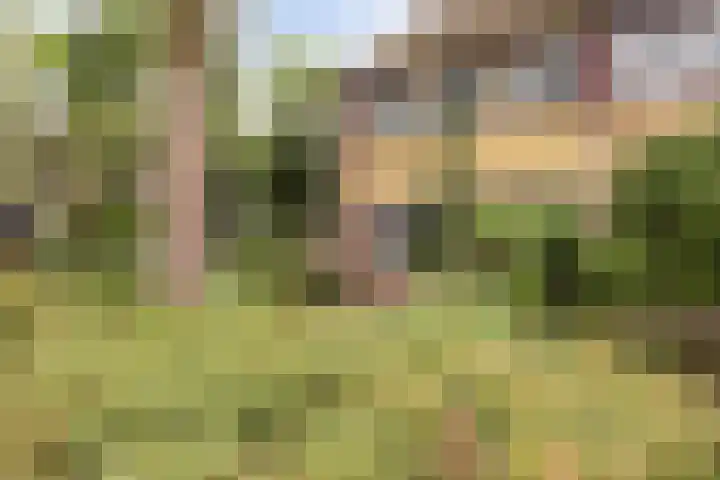 Malrove 62 Apeldoorn thumbnail 26